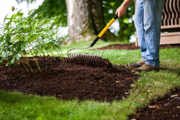 Mulch Installation Services in Raleigh, NC