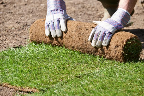 Sod Installation Services in Raleigh, NC