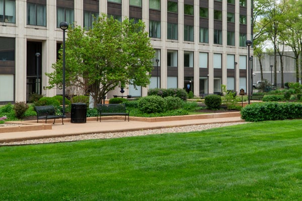 Professional mowing company in Raleigh, NC.