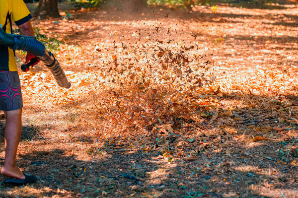 Seasonal lawn care services in Apex, NC.