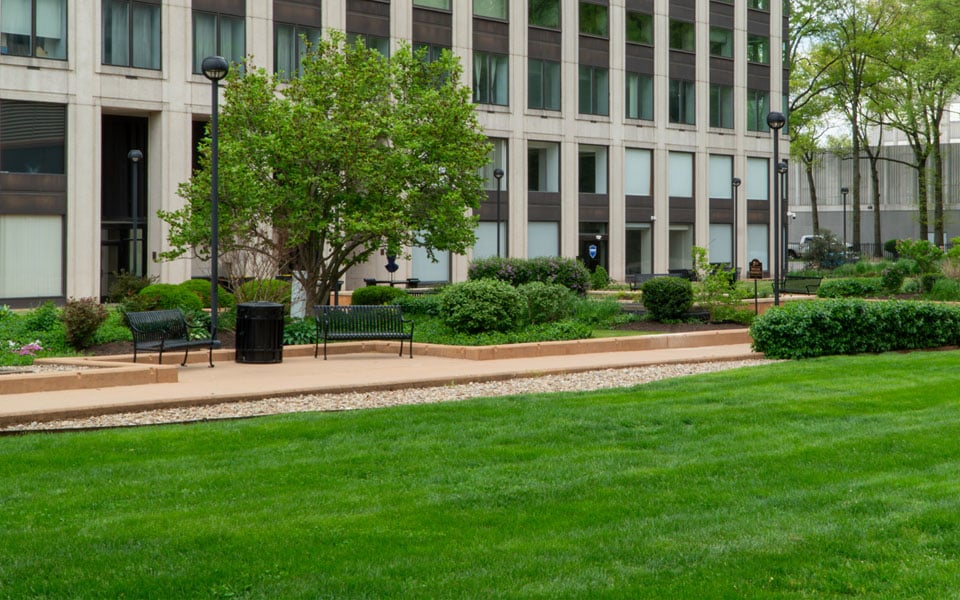 Professional mowing companies in Raleigh, NC.