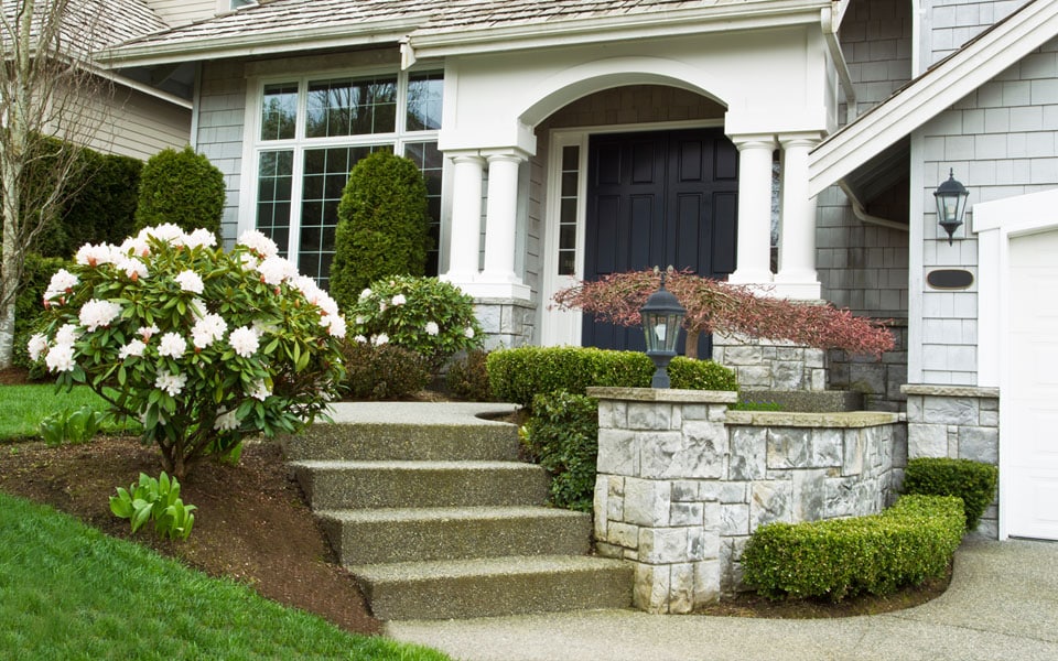 Shrub care companies in Raleigh, NC.