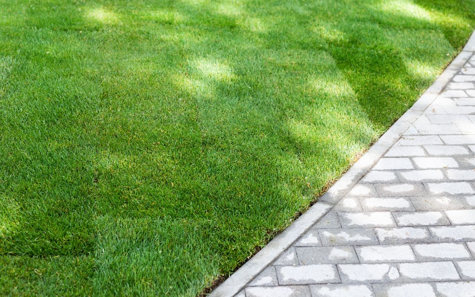 Sod installation companies in Raleigh, NC.