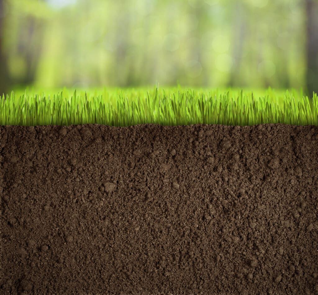 Aeration and overseeding